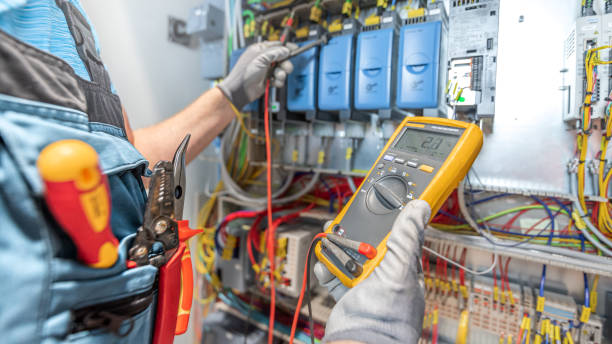 Best Electric Panel Repair  in Joseph City, AZ